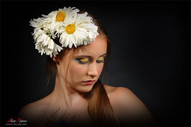 лето,ромашки,студия,путев, Александр Путев