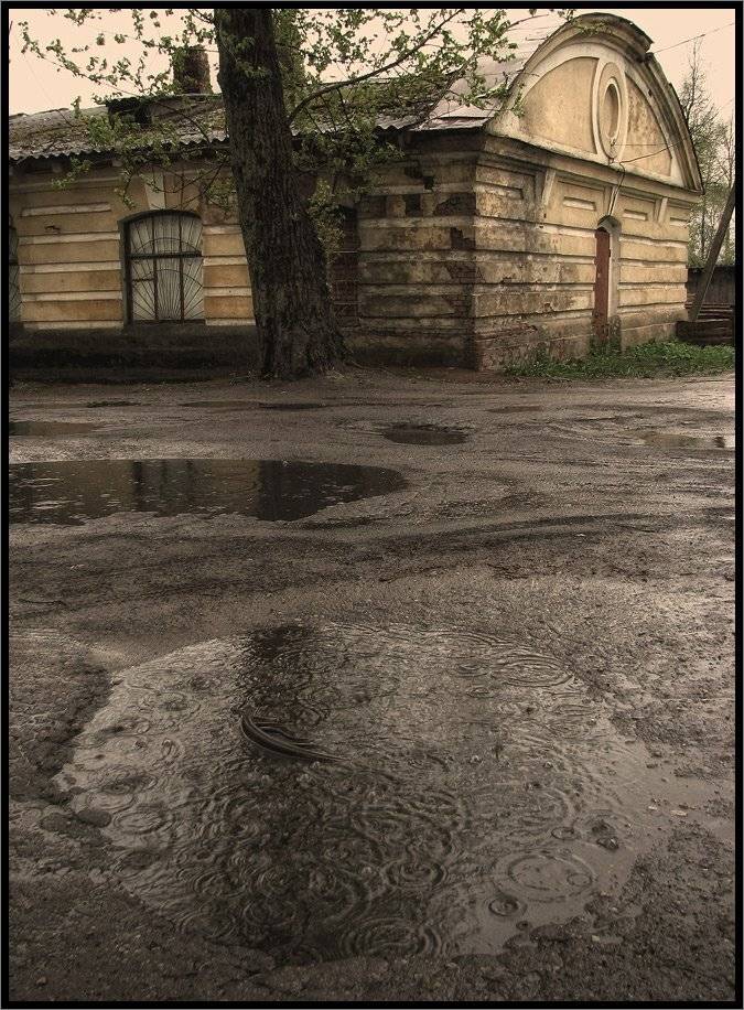 , Лунный Ежик