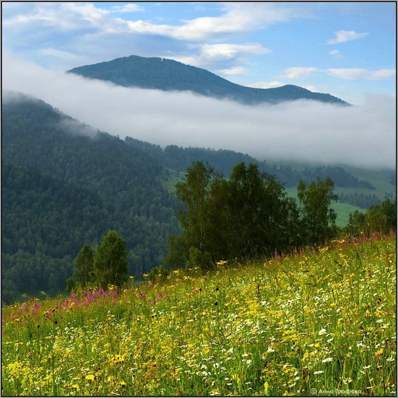 Медовые луга Камлака
