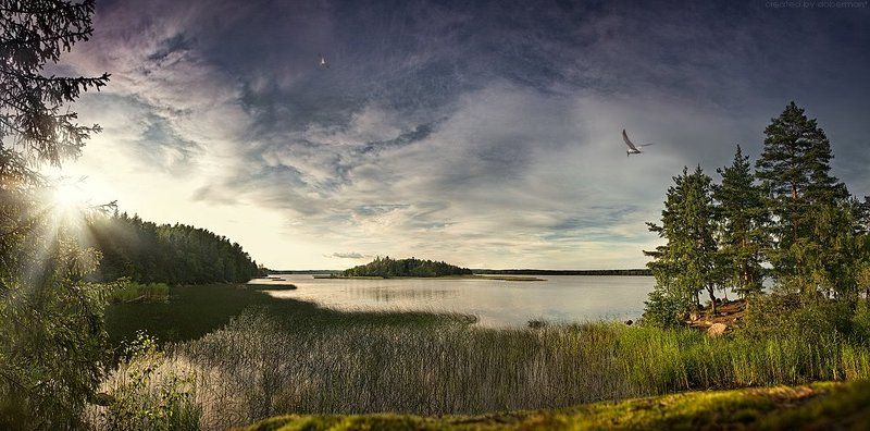 выборг, монрепо, закат, вода, камни, чайка, гранит, финский залив, doberman Сказка про Монрепо фото превью