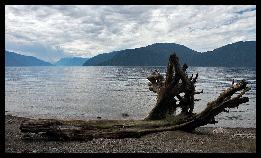 алтай, телецкое, озеро, Юрий Фролов