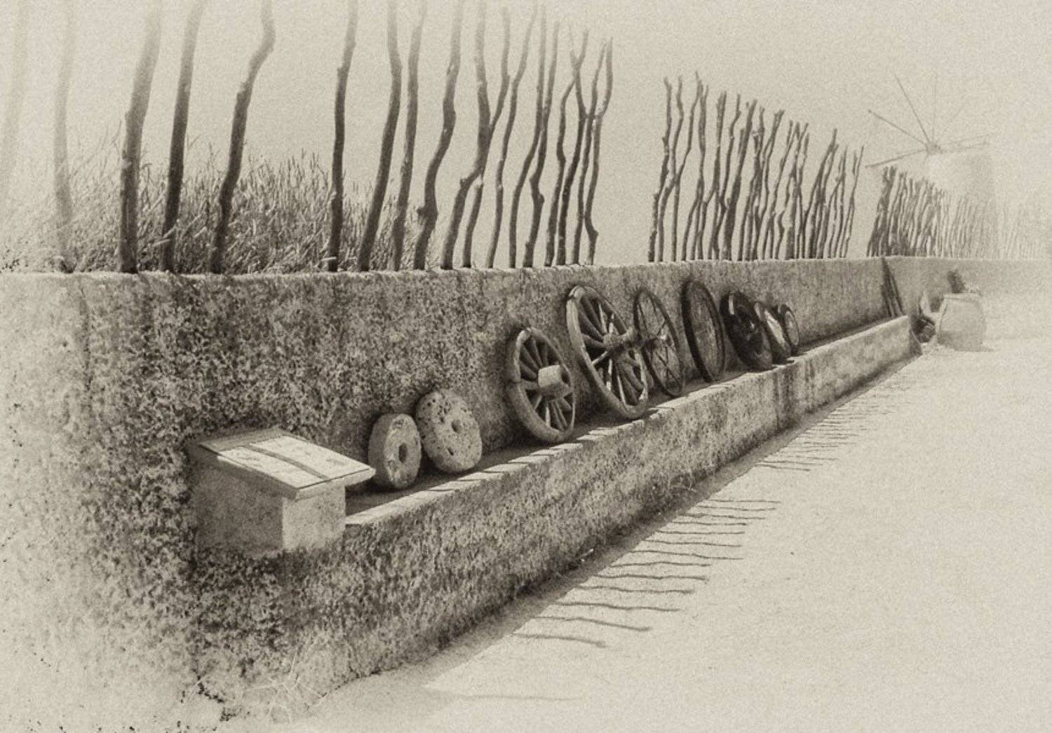 дорогамузейчеловечество, историякрит, Liz