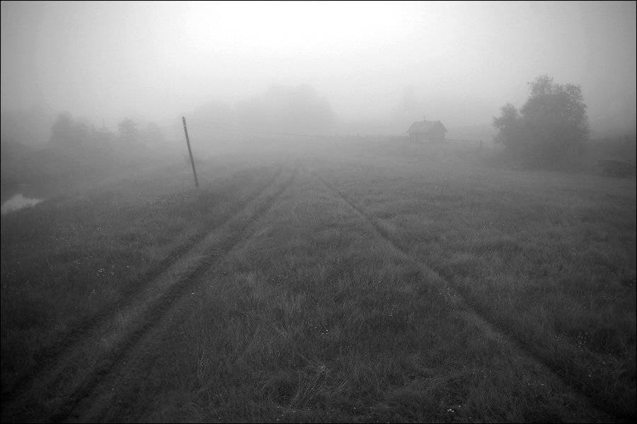 , Дарья Васильева