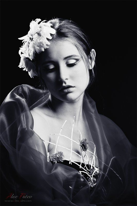 лето,цветы,flowers,глаза,студия,путев Flowers фото превью