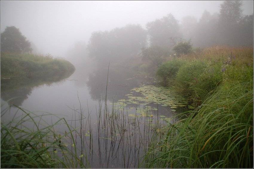 , Дарья Васильева