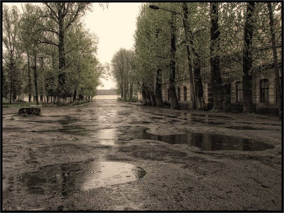 , Лунный Ежик