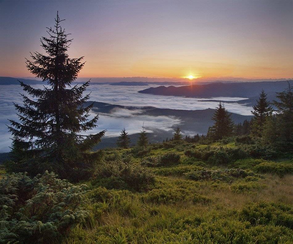 карпаты, природа, пейзаж, горы панорама,, Piligrim