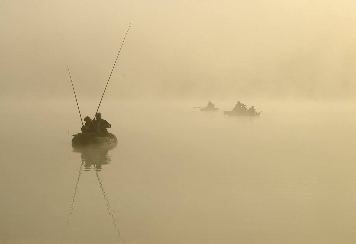 , Максим Евдокимов