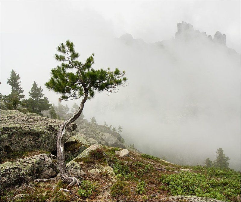 *** фото превью