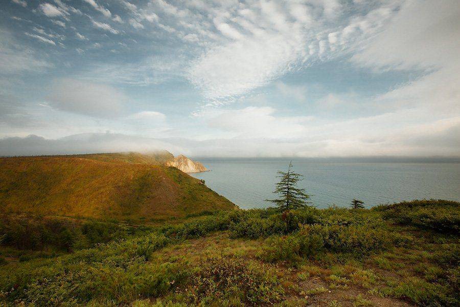 магадан, лето, нюкля, Sir Fisher