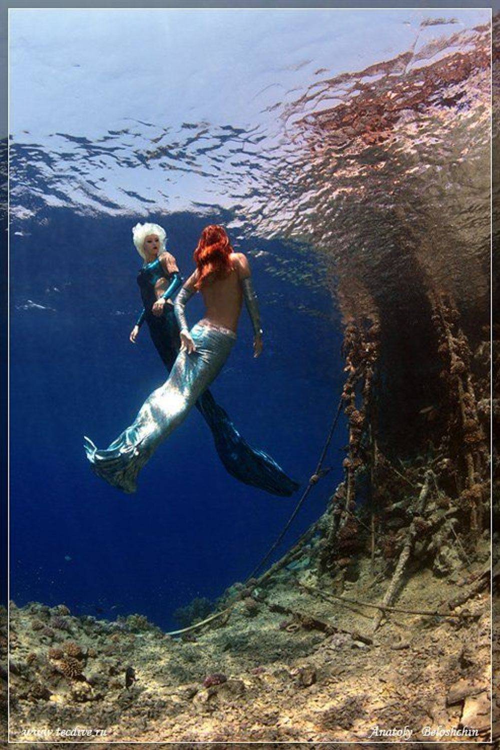 red, sea, big, brother, anatoly, beloshchin, underwater, nude, &, fashion, анатолий, белощин, Anatoly  Beloshchin