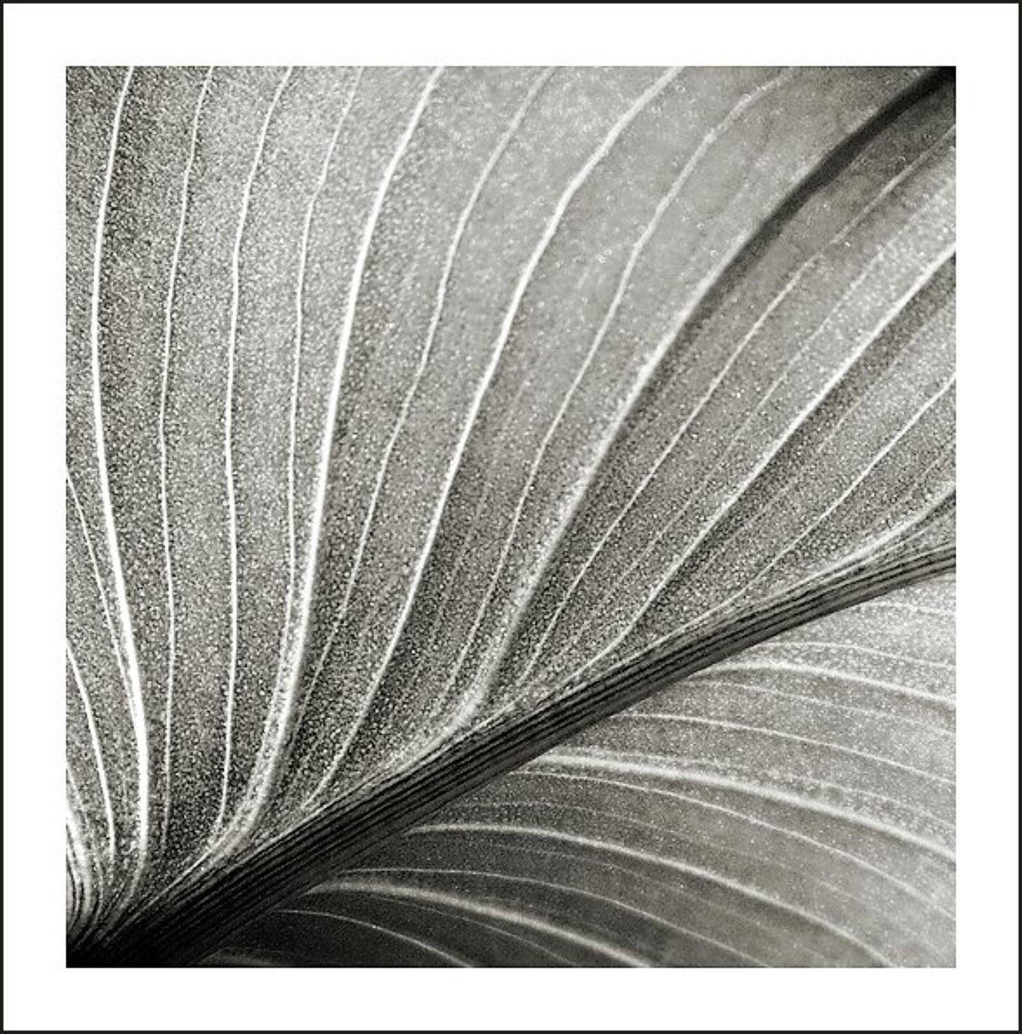 2009, июль, графика, KIRILL KULIKOV(KARAKULEV)