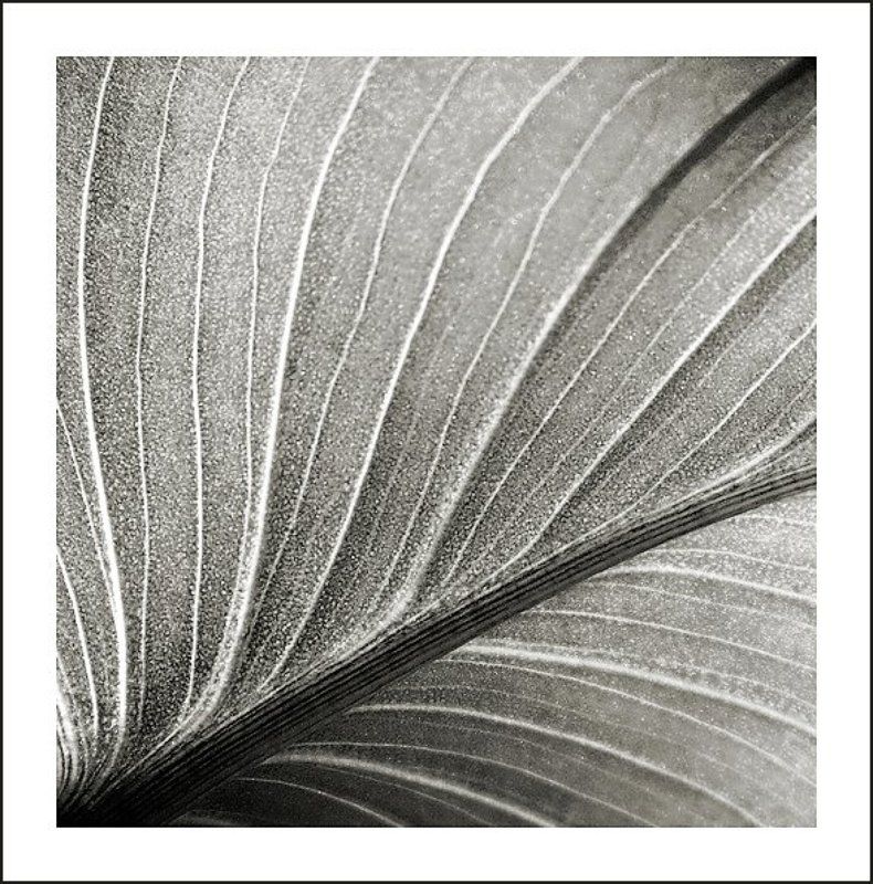 2009, июль, графика ******* фото превью