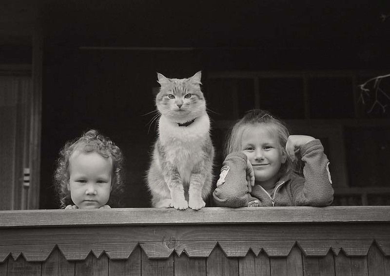 дело было вечером фото превью