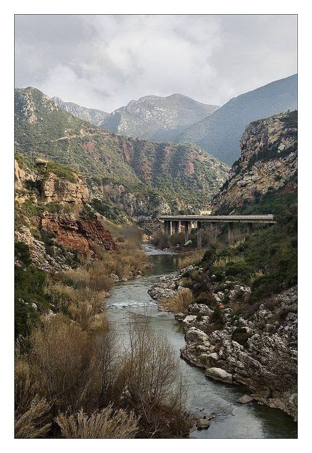 , Нарчук Андрей