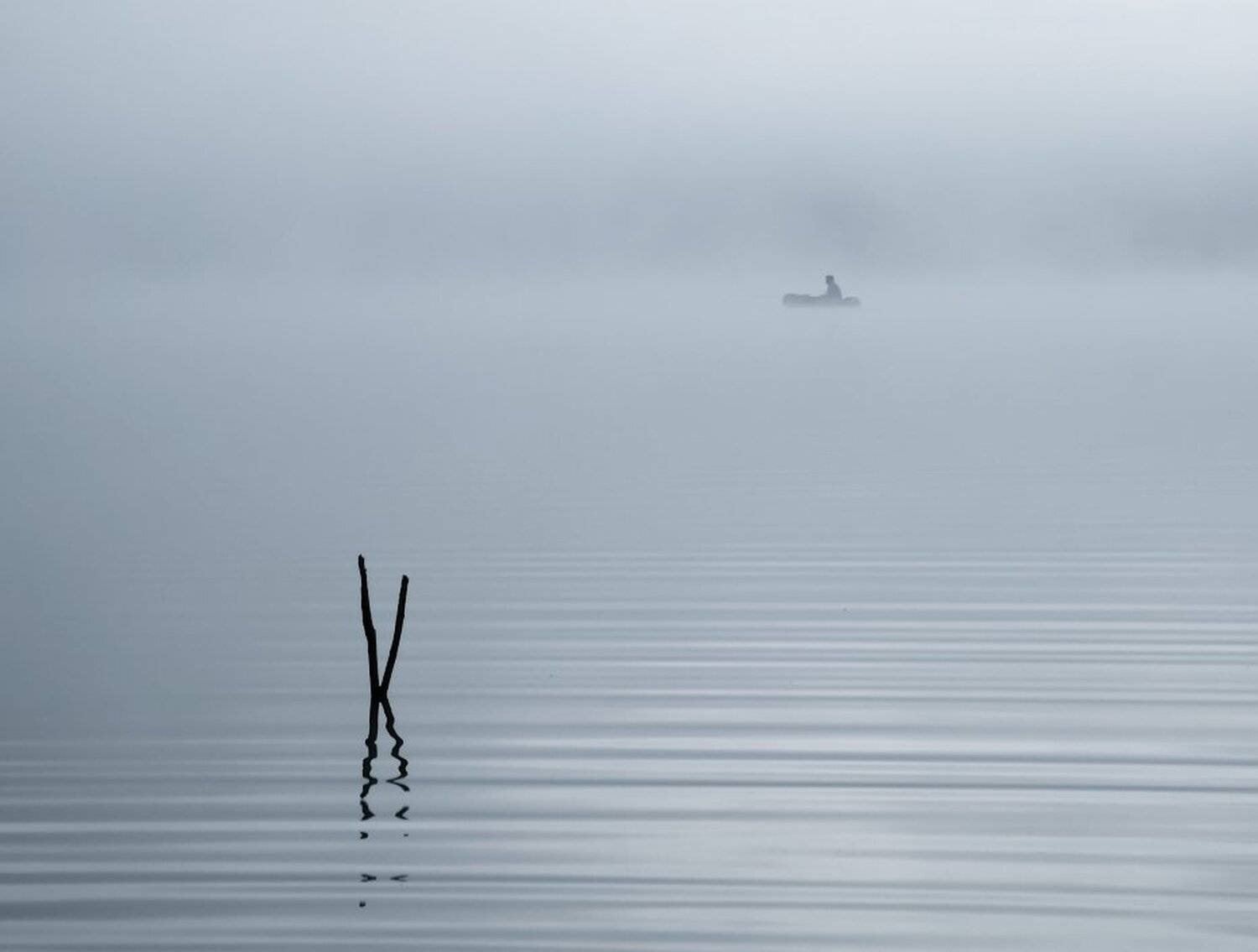 , Максим Евдокимов