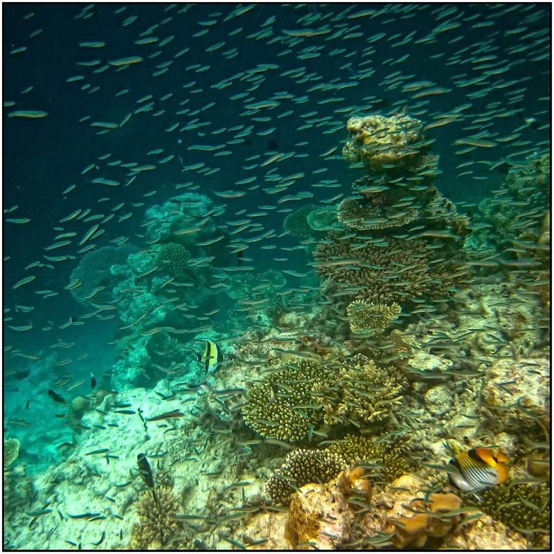 Мелочь фото превью