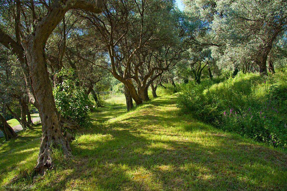 черногория, природа, Андрей Крепких (Sound Wave)