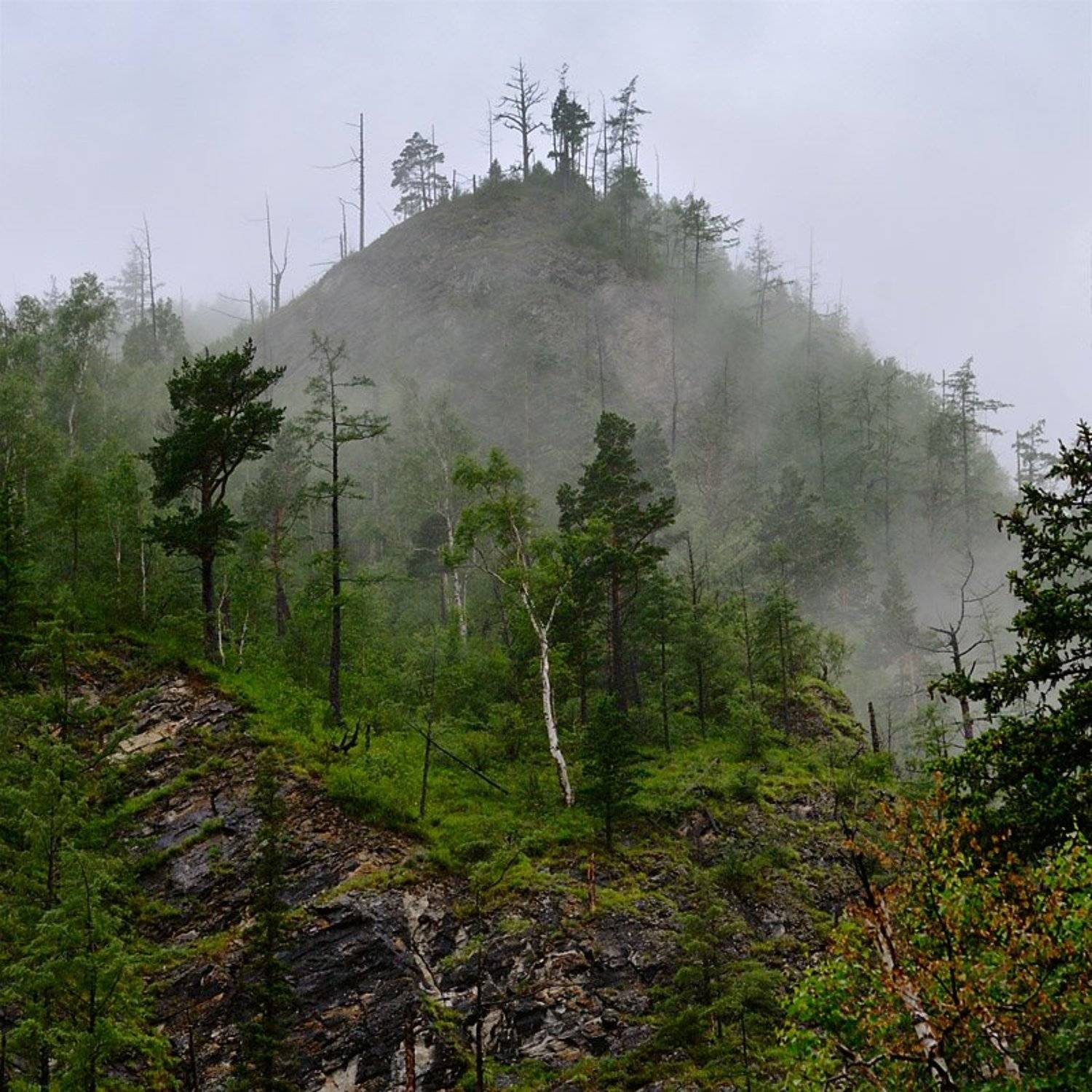 байкал, тункинская долина, восточные саяны, пос. аршан, туман, горы, 2009, Kaiser Sozo