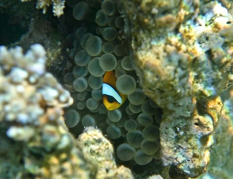 Опять туристы лезут! фото превью