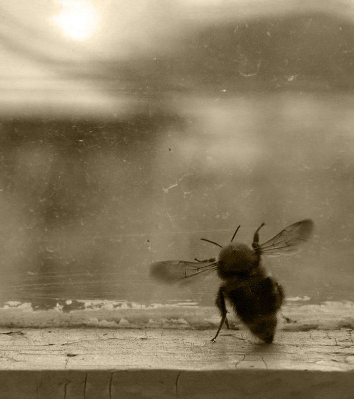 хандра Узник фото превью