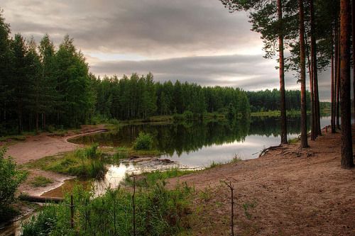 Перед рассветом