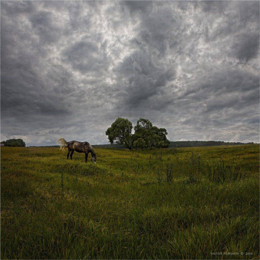 , Виктор Перякин