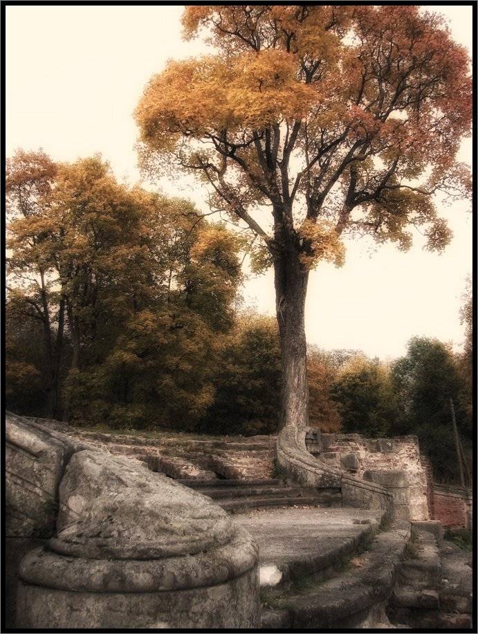 , Лунный Ежик