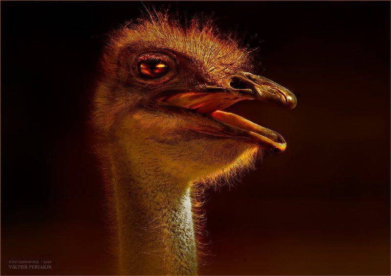 , Виктор Перякин