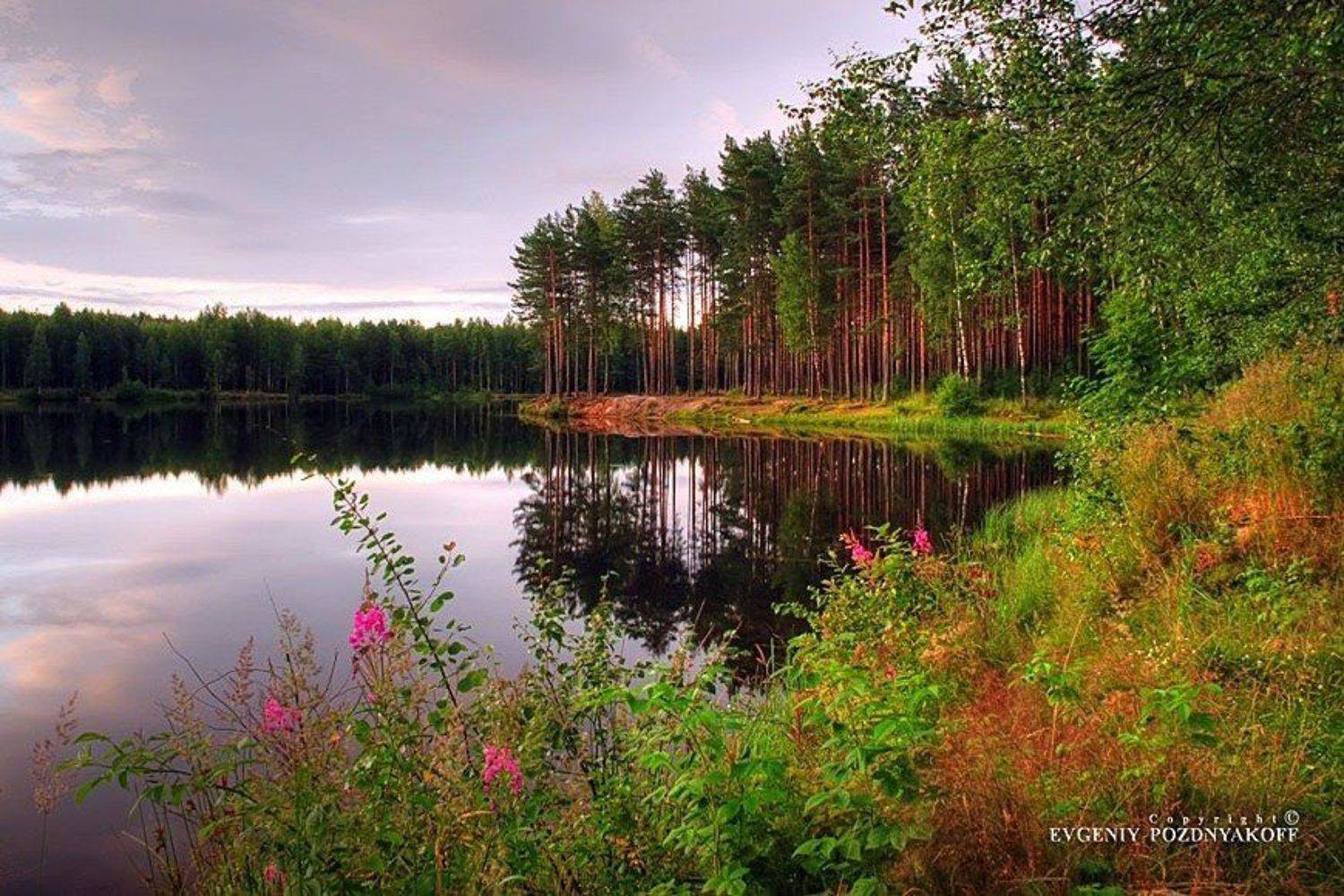 hdr, вода, деревья, евгений поздняков, красота, лес, лето, небо, облака, озеро, отражение, отражения, пейзаж, природа, рассвет, ручей, утро, Евгений Поздняков