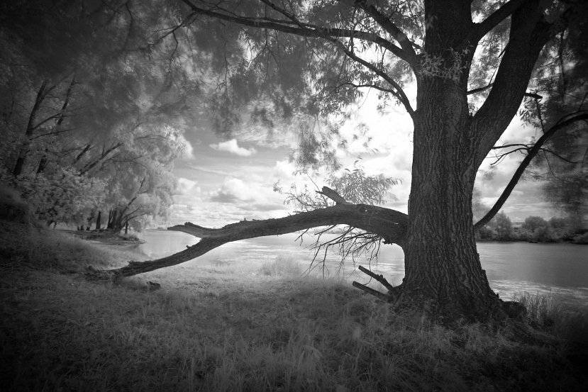 ик, Эдуард VTORNIK  Николаев