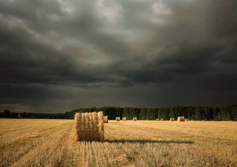 , Эдуард VTORNIK  Николаев