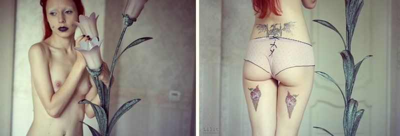 Лилии фото превью