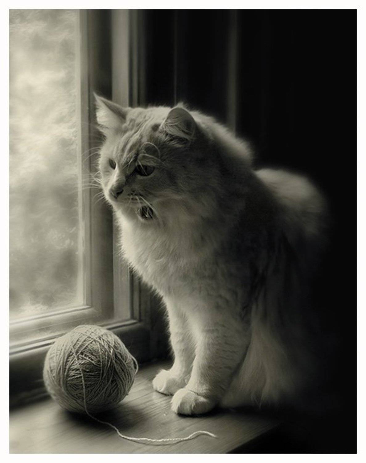 , Костин Евгений