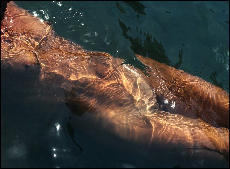 Преломление (3) фото превью