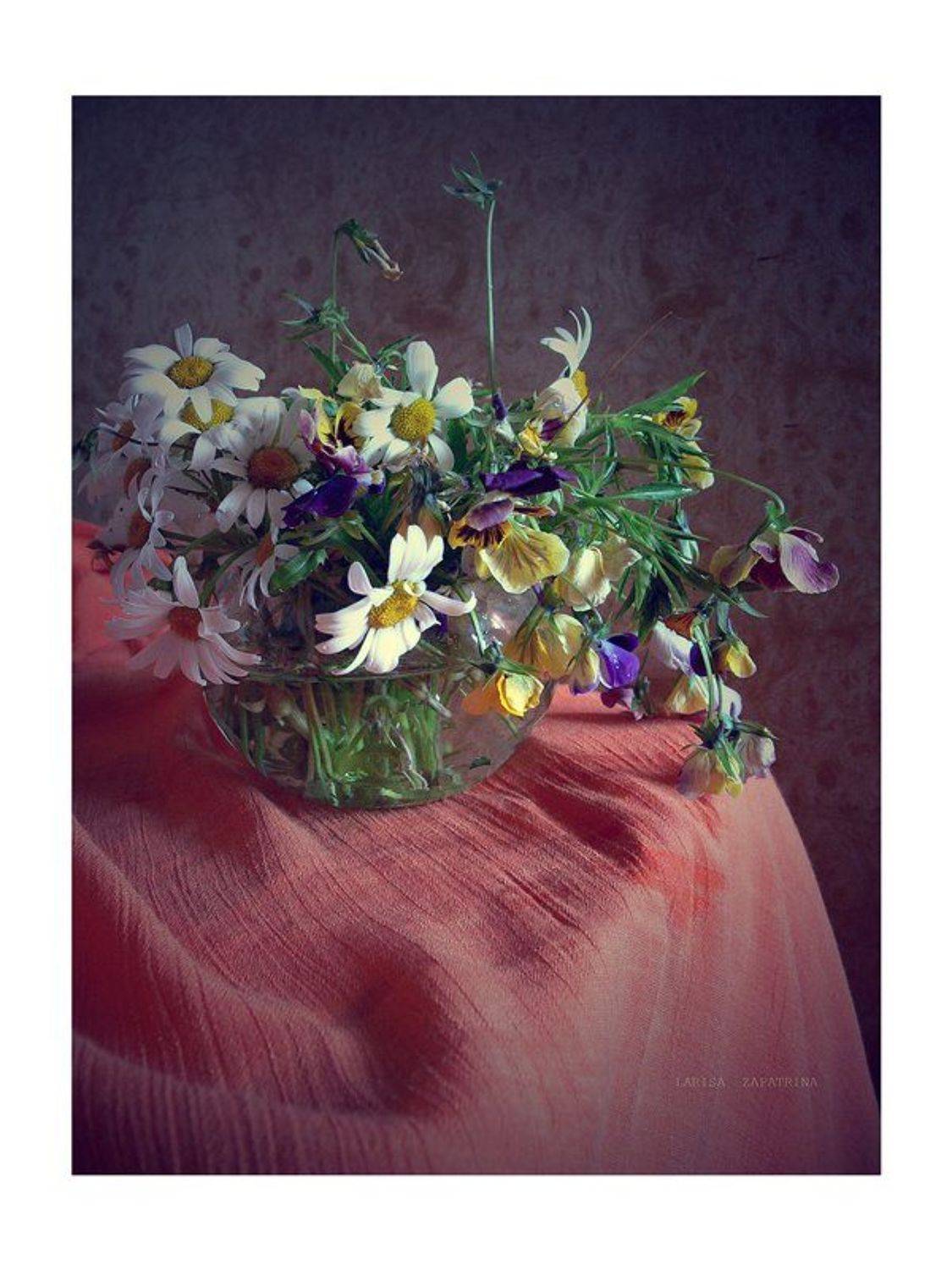 , Лариса Запатрина