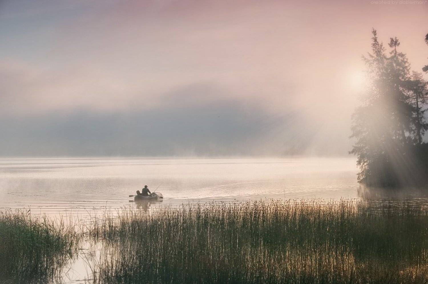 , Денис Богомолов