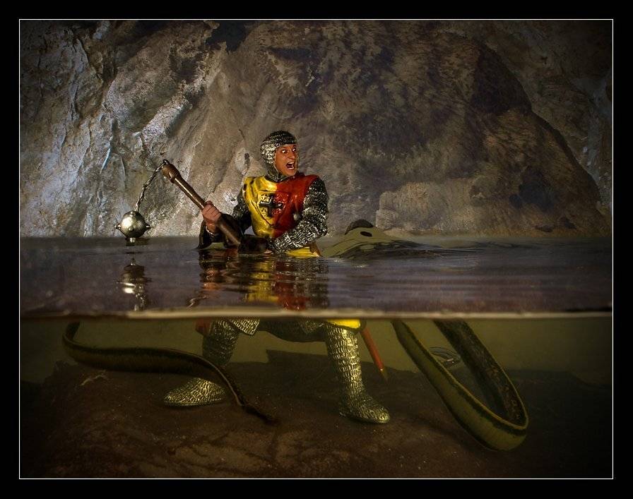 , Сергей Шанин
