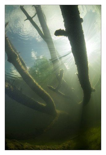 Куда уходят сказки