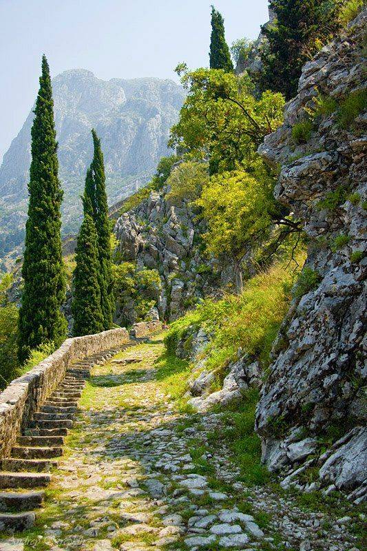 черногория, котор, природа, подъём, гора, Андрей Крепких (Sound Wave)