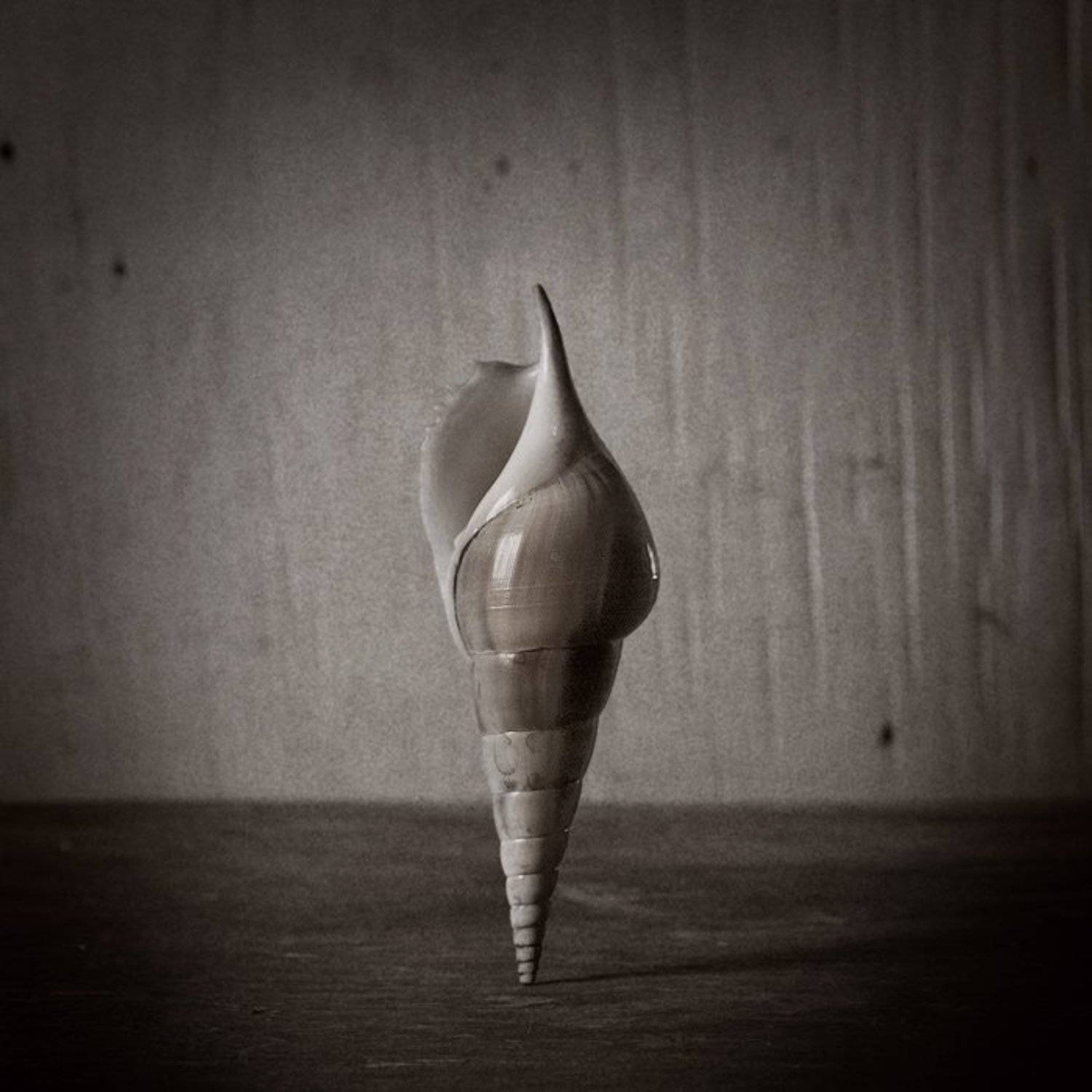 , Владимир Лестровой