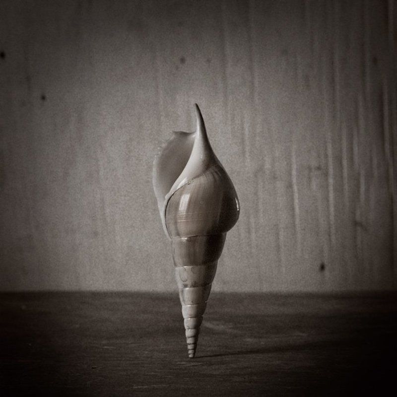 L фото превью