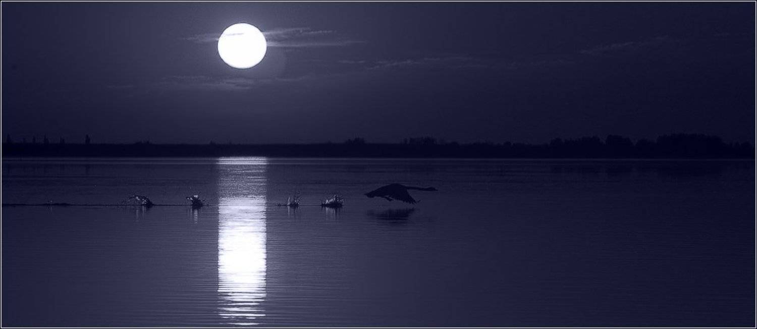 , Игорь Гущин