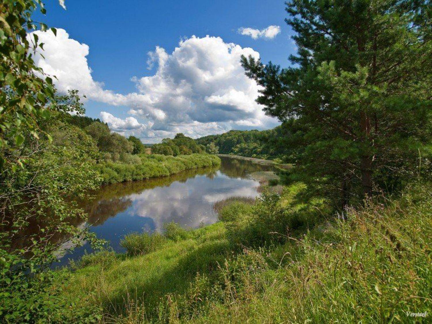 , Венцель Александр