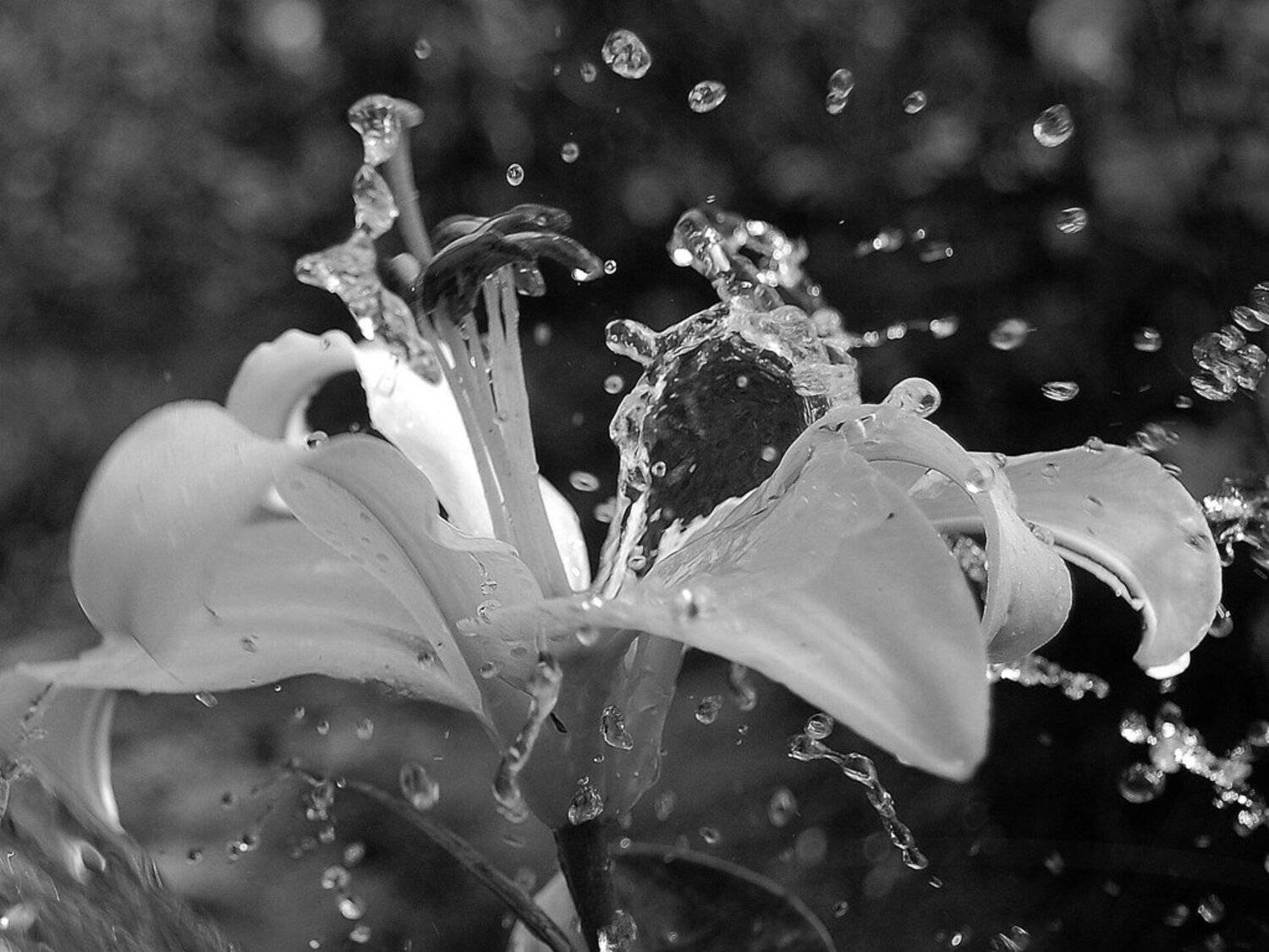 , Азат Табрисович