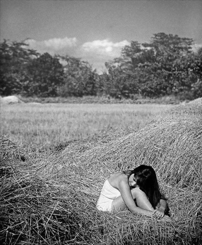 * фото превью