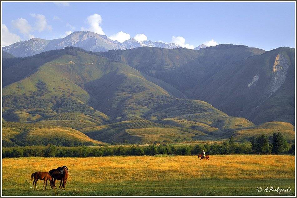 талгар, тянь-шань, горы, лошадь, чабан,, Aleksandre