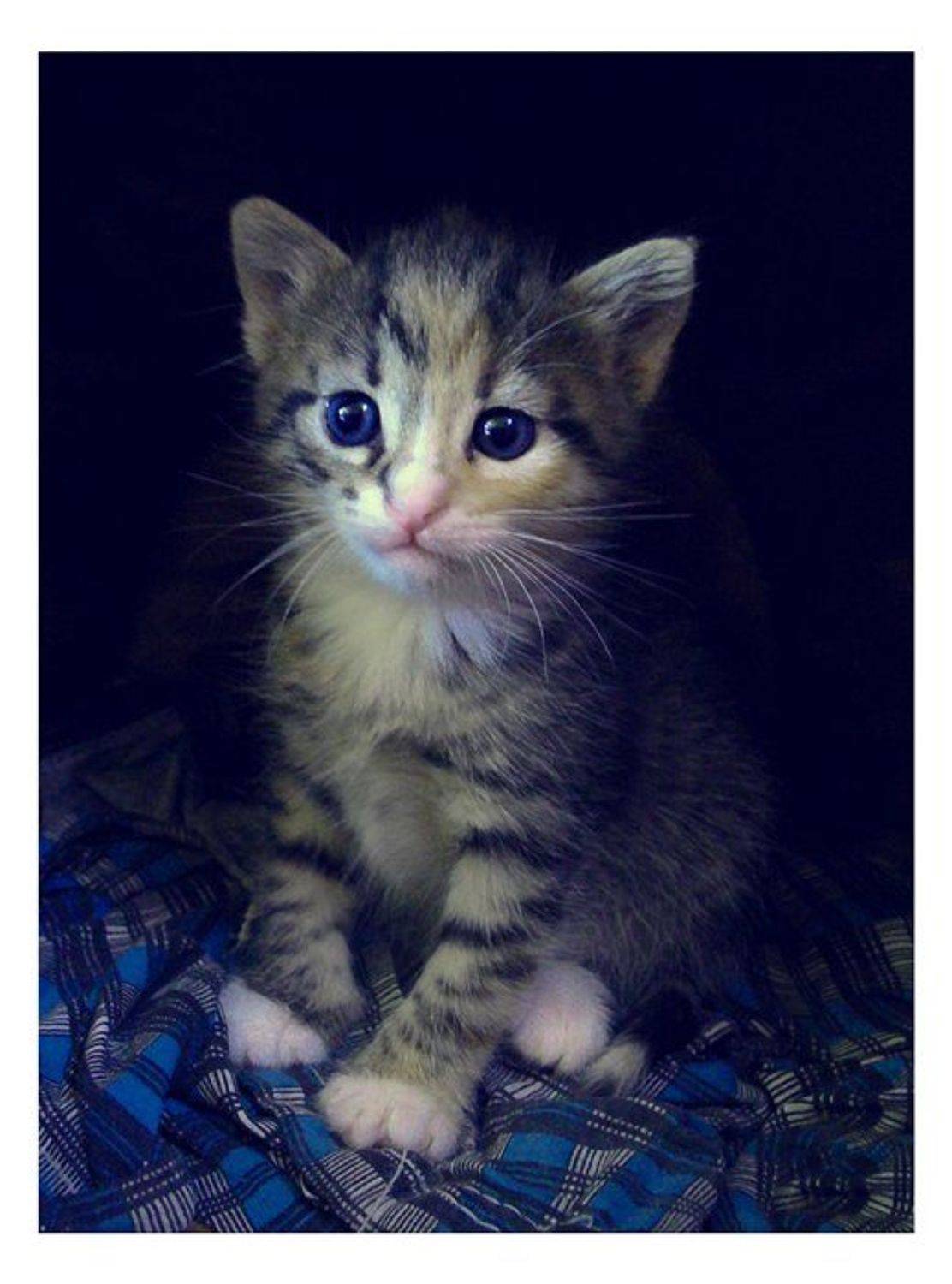 , Лариса Запатрина