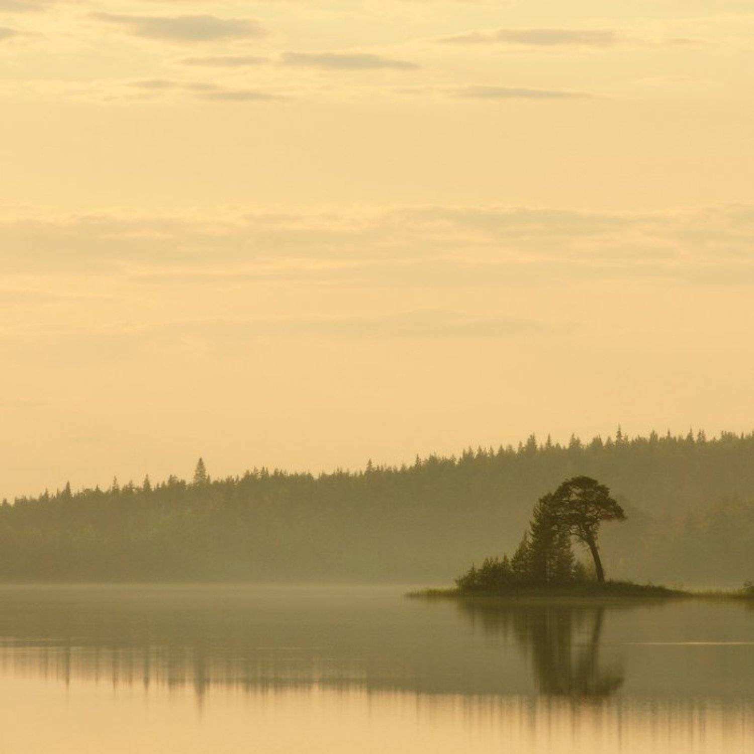 карелия, квадрат., senjor