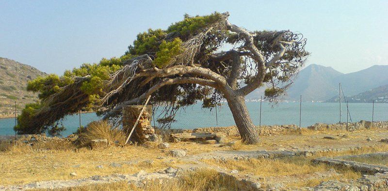 Живущий над морем фото превью